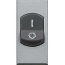 Double pole switch 32A 1M Aluminium - bticino Axolute HC4011