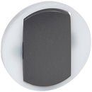 Faceplate for switch and button with halo Graphite - Legrand Celiane 65204