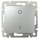 Double pole switch 16A Aluminium - Legrand Valena 770204