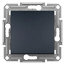 Button 10A without frame Anthracite - SCHNEIDER ELECTRIC Asfora EPH0800371