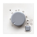 Thermostat 2 modules 230V 2A 1NO - bticino Classia RW4441