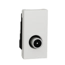 Male TV socket star 1.5 dB, 1M, white - SCHNEIDER ELECTRIC New Unica NU346118