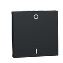 Double pole switch 16A, 2M, anthracite - SCHNEIDER ELECTRIC New Unica NU326254