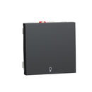 One-pole pushbutton with "light" symbol 10A, 2M, anthracite - SCHNEIDER ELECTRIC New Unica NU320654L