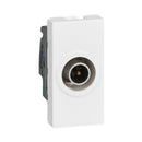 Socket TV 9.5 mm male 1dB 1M White - Legrand Mosaic 78793