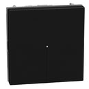Deviator switch axial 2M 10A Graphite - bticino Light Now YD4053M2A