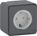 Schneider Electric Mureva Styl socket, 2P+T, surface-mounted, grey