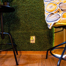 Shelly Plus Plug S - Smart Socket Works with Alexa &amp; Google Home, Programmable Socket with Voice Control, Bluetooth and Wi-Fi Device for Device Automation Power Measurement